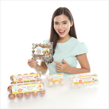 supplier telur jakarta
